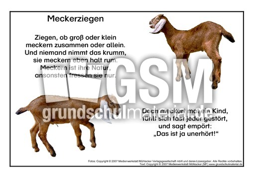 Meckerziege.pdf